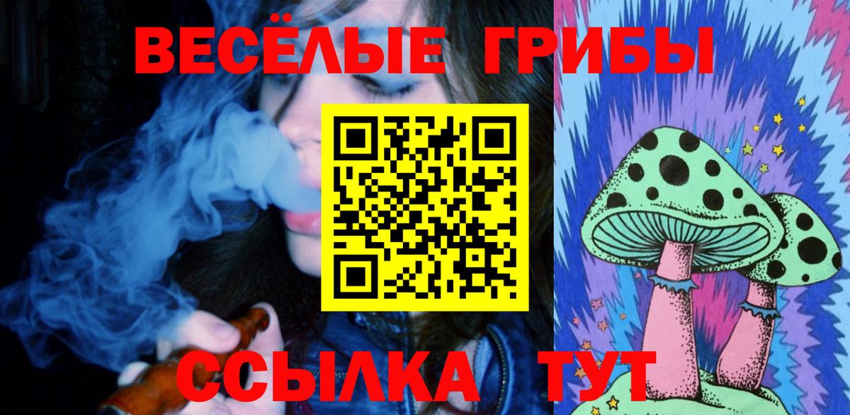 Псилоцибиновые грибы GOLDEN TEACHER  Галлюциногенные грибы ЛСД  Старая Русса  Вход с VPN 